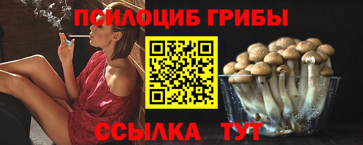 Галлюциногенные грибы мухоморы  Псилоцибиновые грибы Psilocybine cubensis  Вход с VPN  Ставрополь 